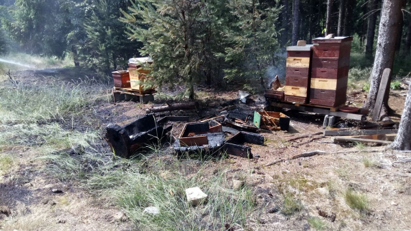 Waldbrand in Eniklberg