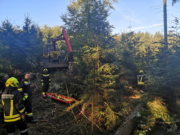 Forstunfall im Bereich Lauterbach
